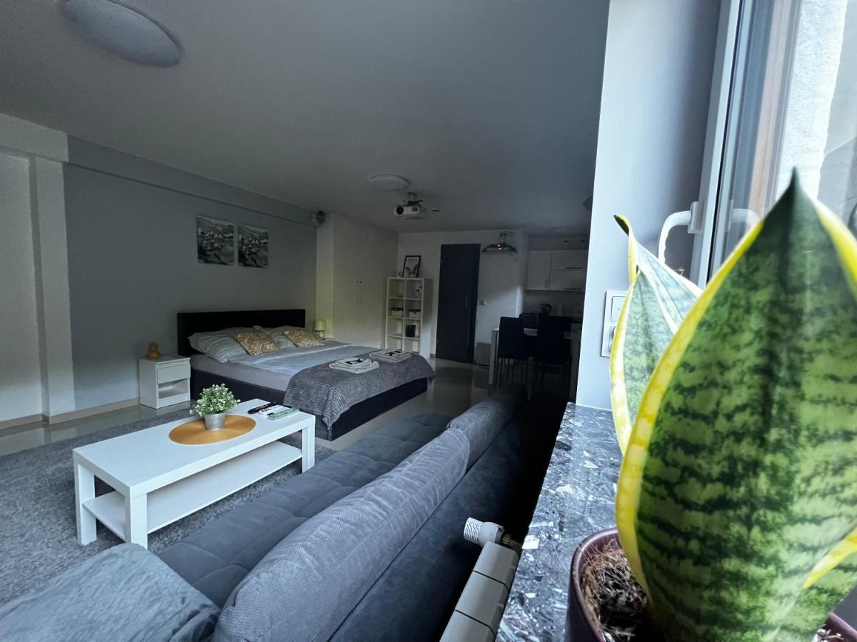 Apartament Play Pietrzykowice  ภายนอก รูปภาพ